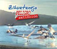 portada Zihuatanejo en Peligro de Extinción