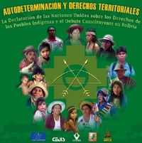 portada Autodeterminación y Derechos Territoriales. La Declaración de las Naciones Unidas sobre los Derechos de los Pueblos Indígenas y el debate constituyente en Bolivia