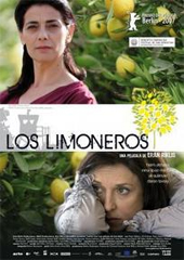 portada Los limoneros = Limoiondoak